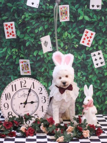 20250411あんちゃん